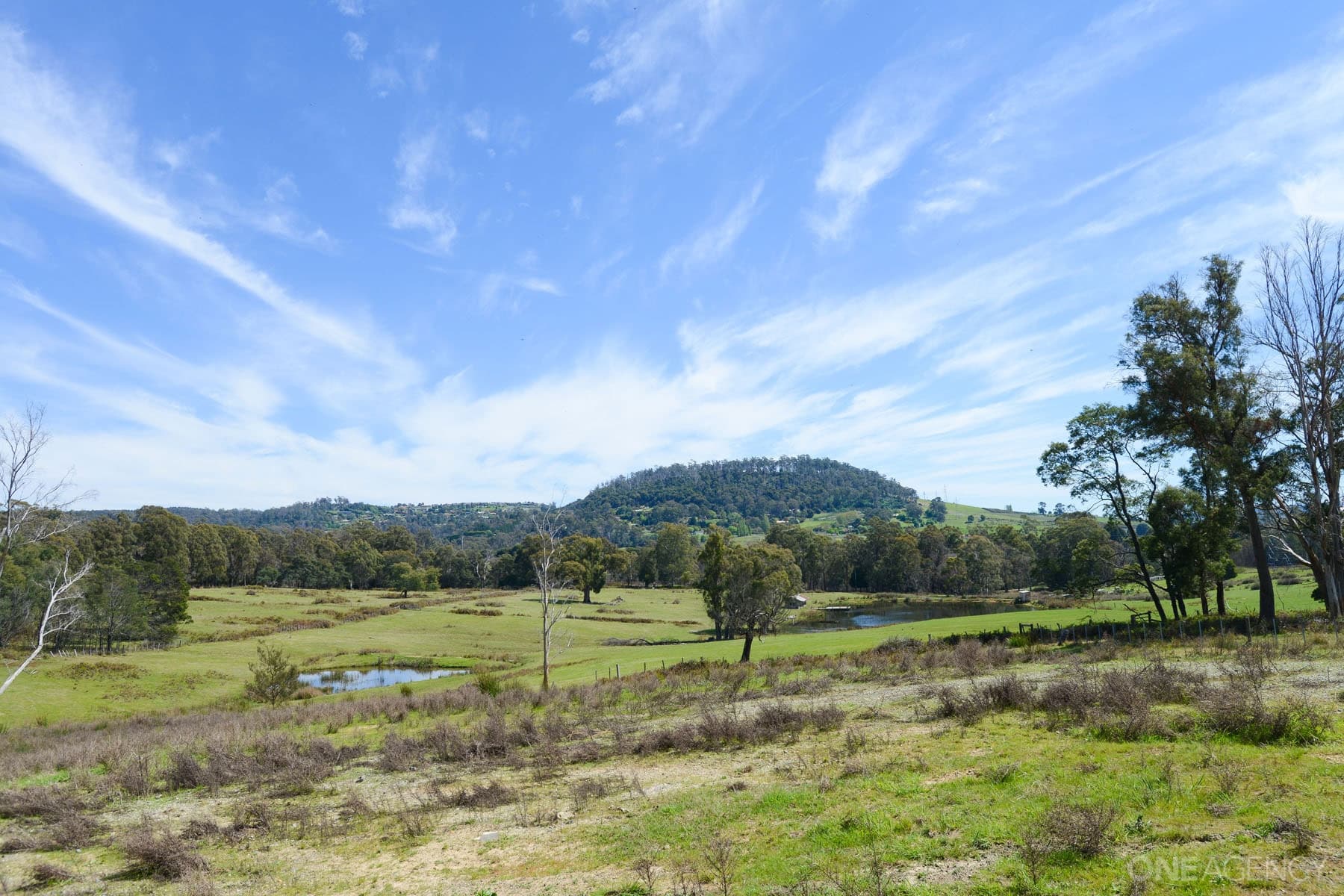 26 Sunrise Drive, Legana, Legana - Thumbnail 5