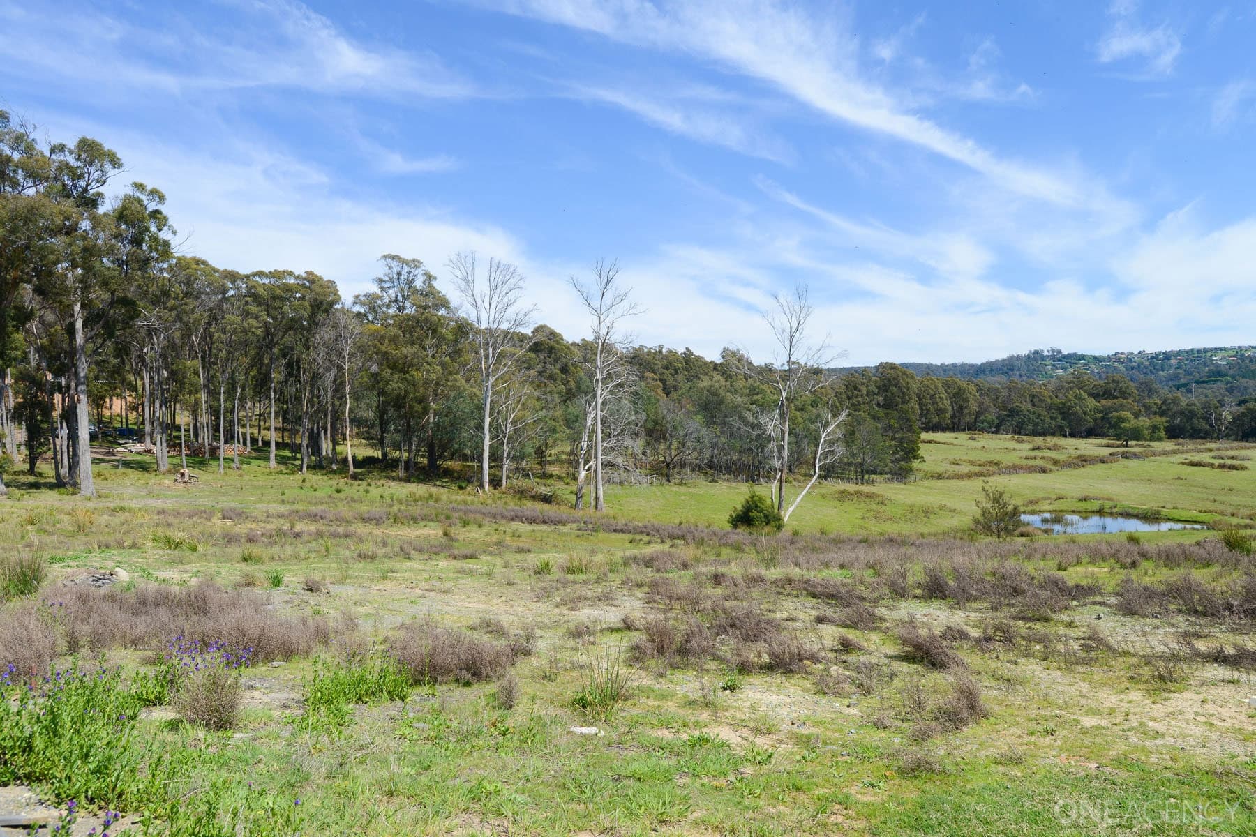 26 Sunrise Drive, Legana, Legana - Thumbnail 6