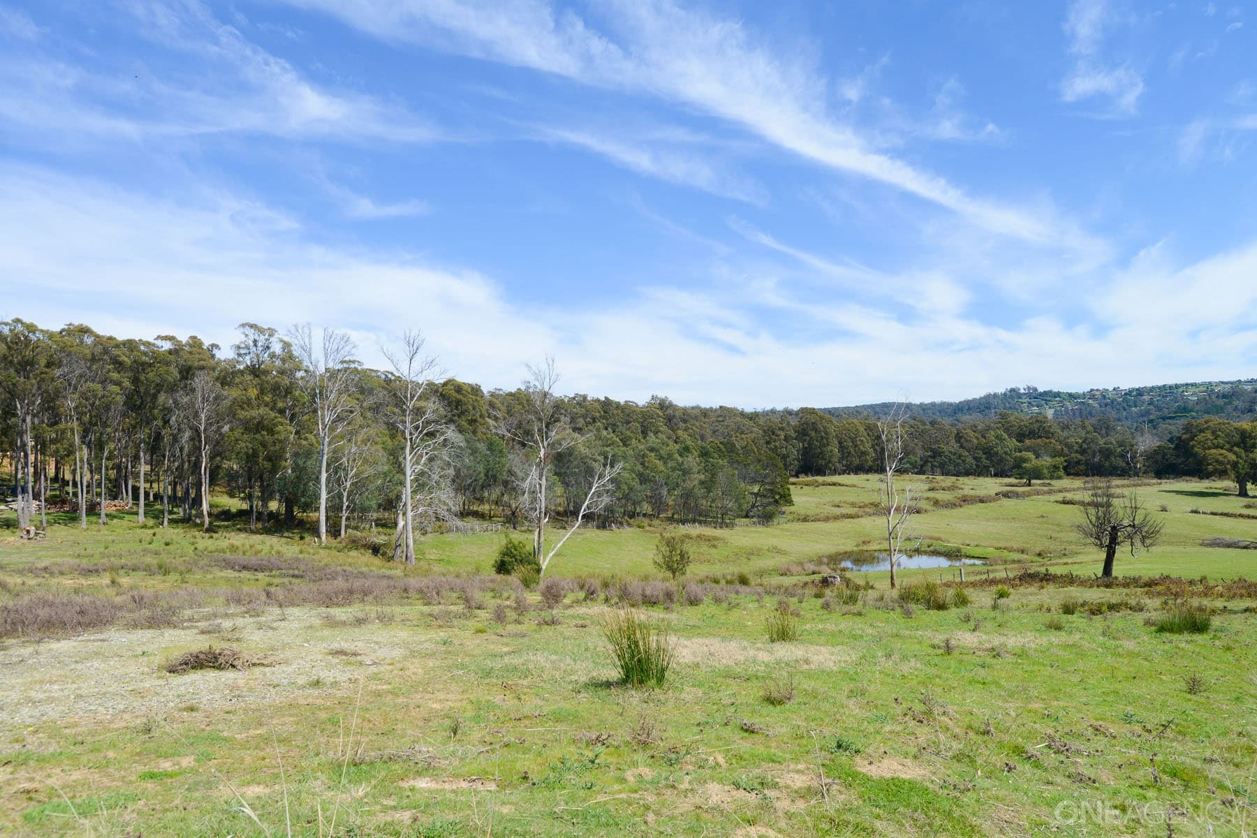 26 Sunrise Drive, Legana, Legana - Thumbnail 7