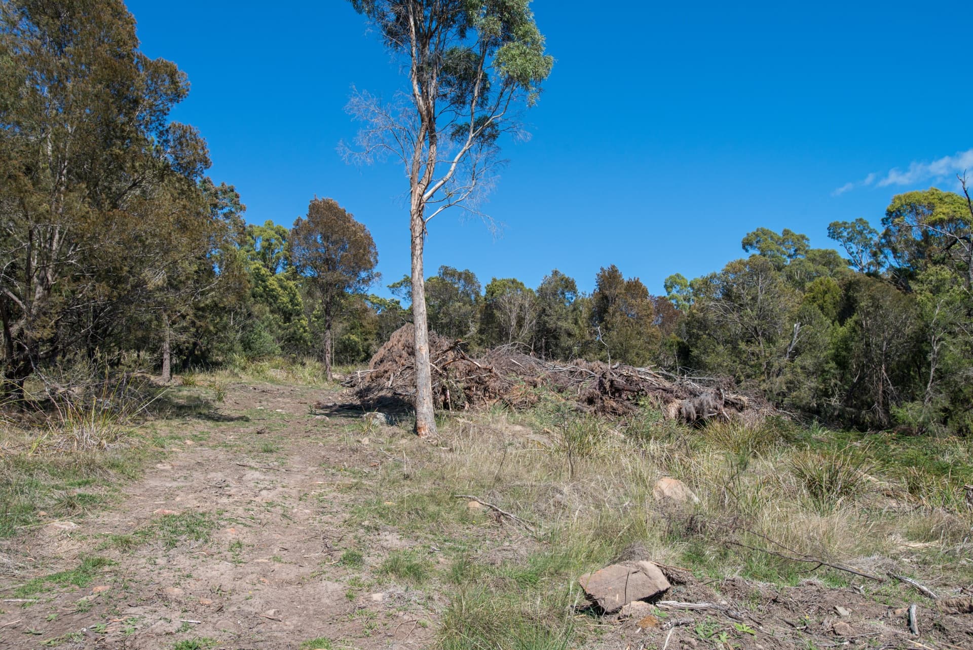 Lot 2/19 Danbury Drive, Legana, Legana - Thumbnail 5