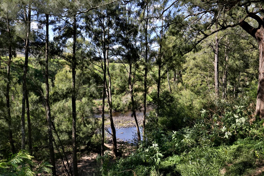 141 Moss Vale Road, Kangaroo Valley, Kangaroo Valley - Thumbnail 6