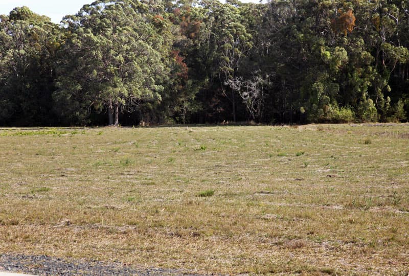 44 Heritage Drive, Moonee Beach, Moonee Beach - Thumbnail 5