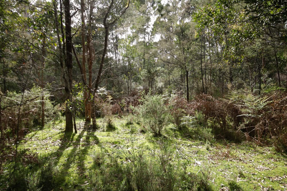 Wilmot Road, Kindred, Kindred - Thumbnail 4