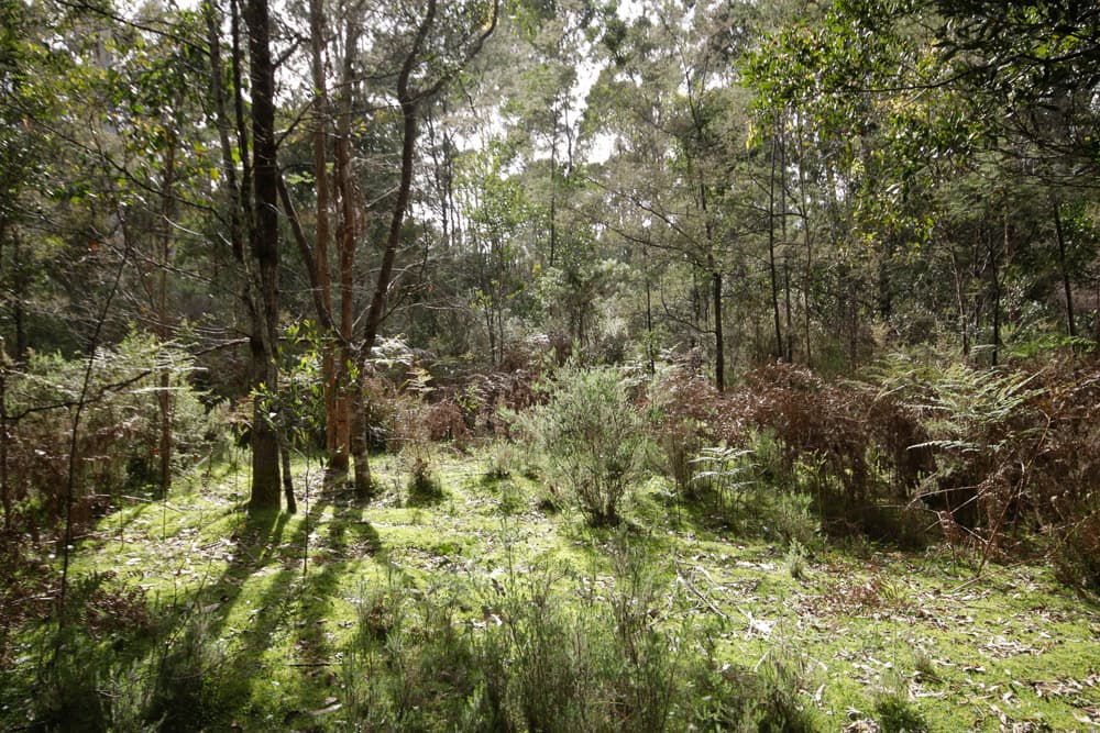 Wilmot Road, Kindred, Kindred - Image 1