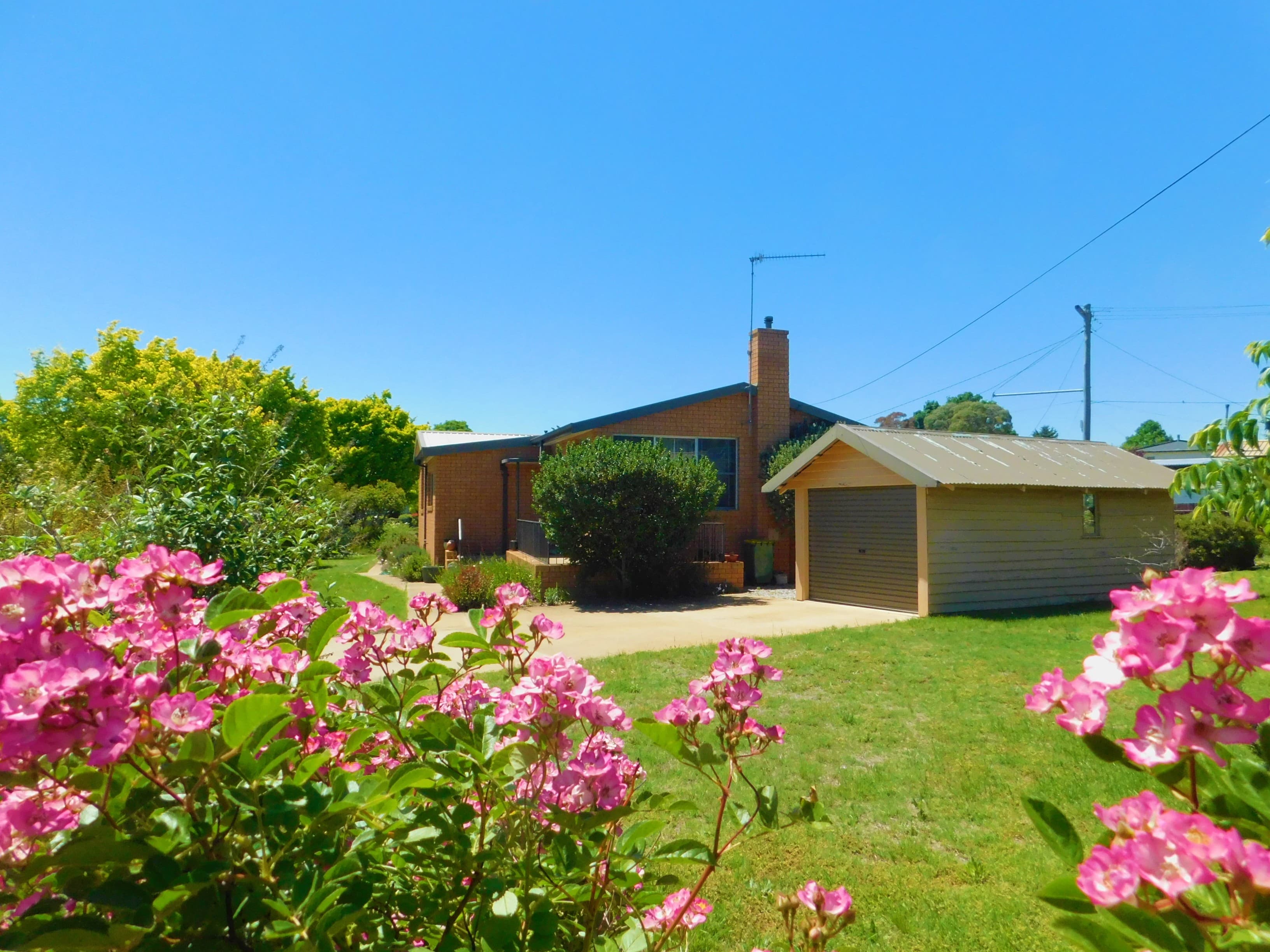 3 Wangie Street, Cooma, Cooma - Thumbnail 2
