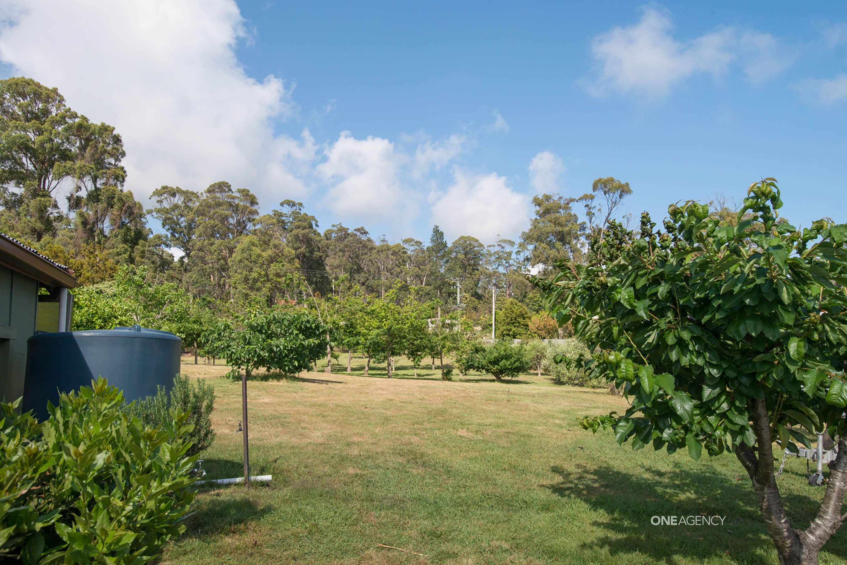 668 Deviot Road, Deviot, Deviot - Thumbnail 4