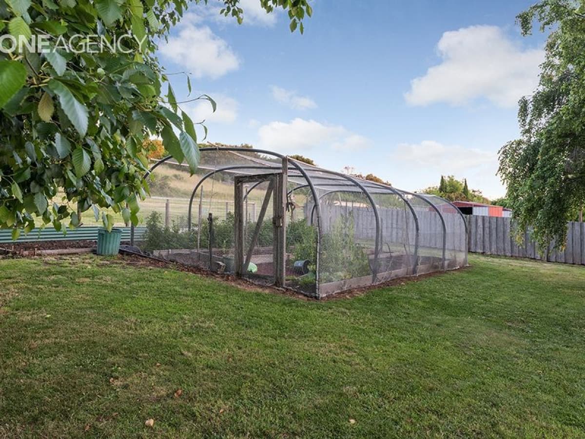 34 Freestone Crescent, Wynyard, Wynyard - Thumbnail 8