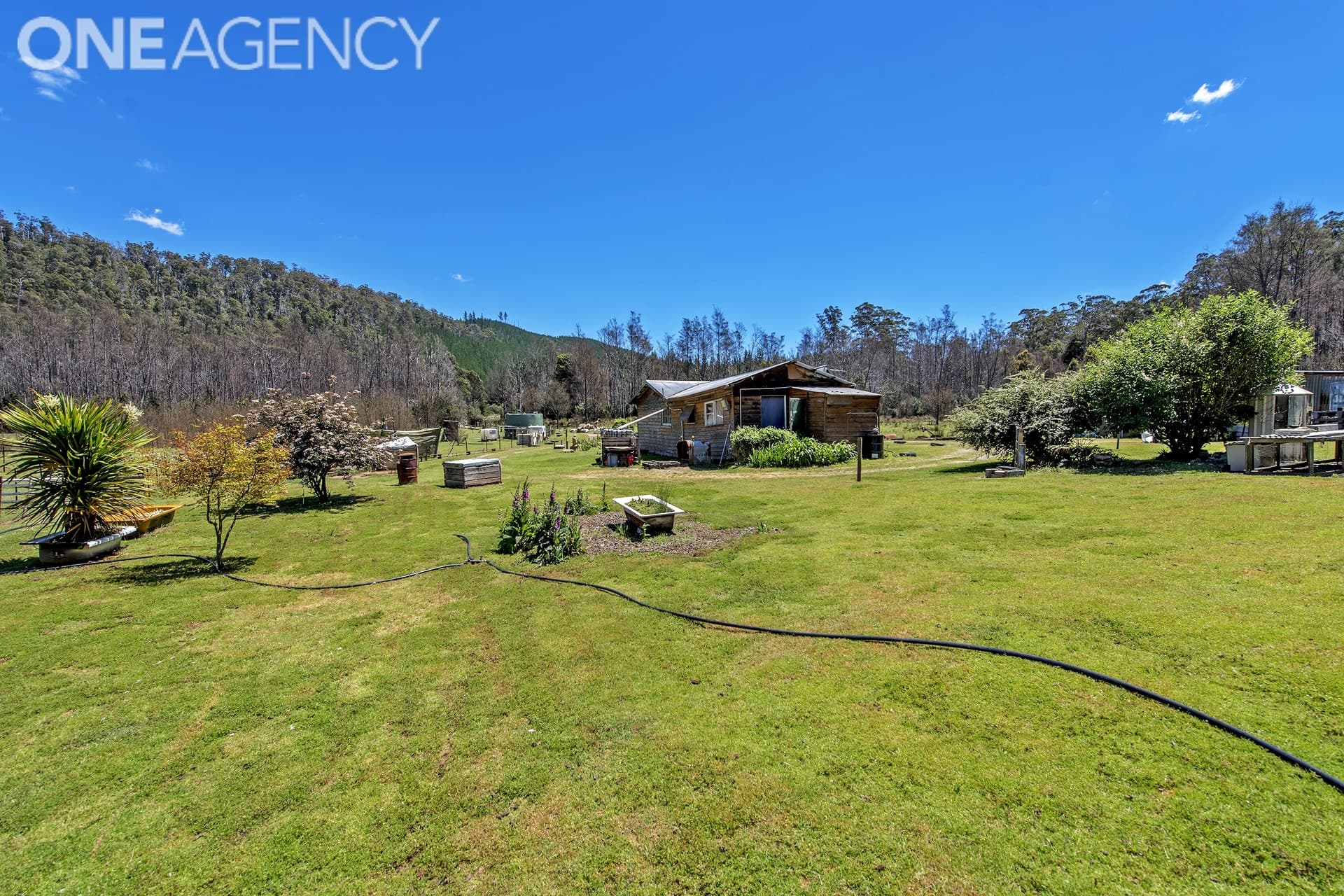 290 Dalgarth Road, Harford, Harford - Thumbnail 6