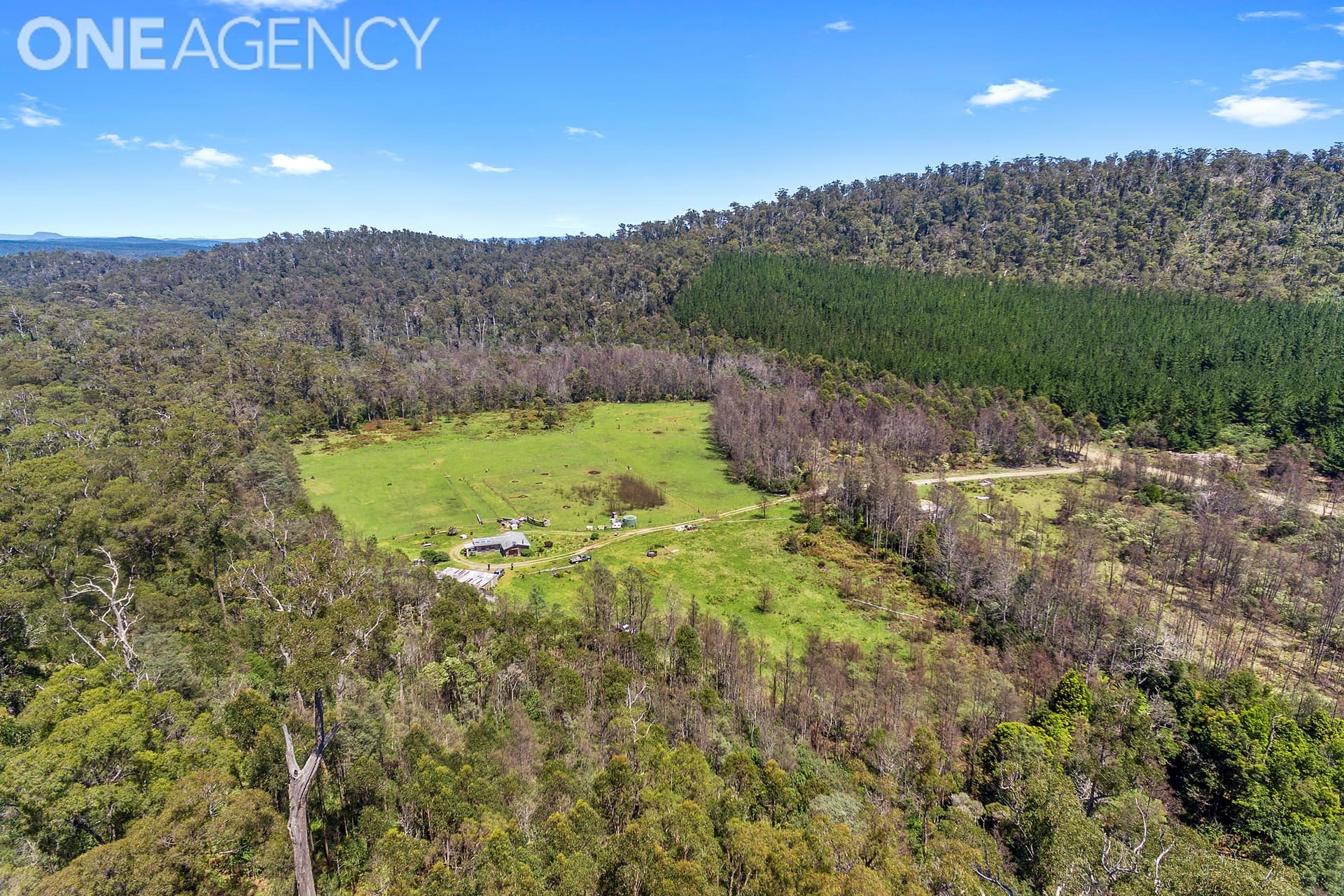 290 Dalgarth Road, Harford, Harford - Thumbnail 7