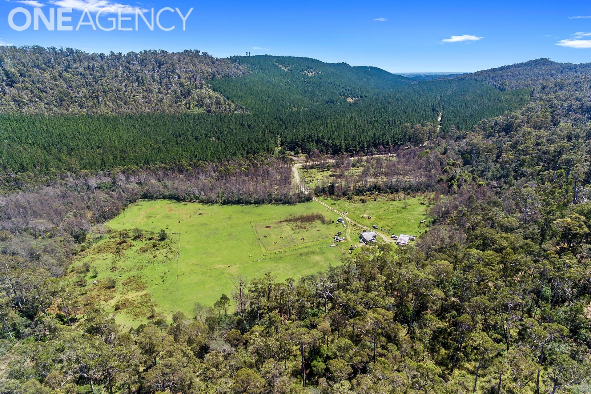 290 Dalgarth Road, Harford, Harford - Thumbnail 8