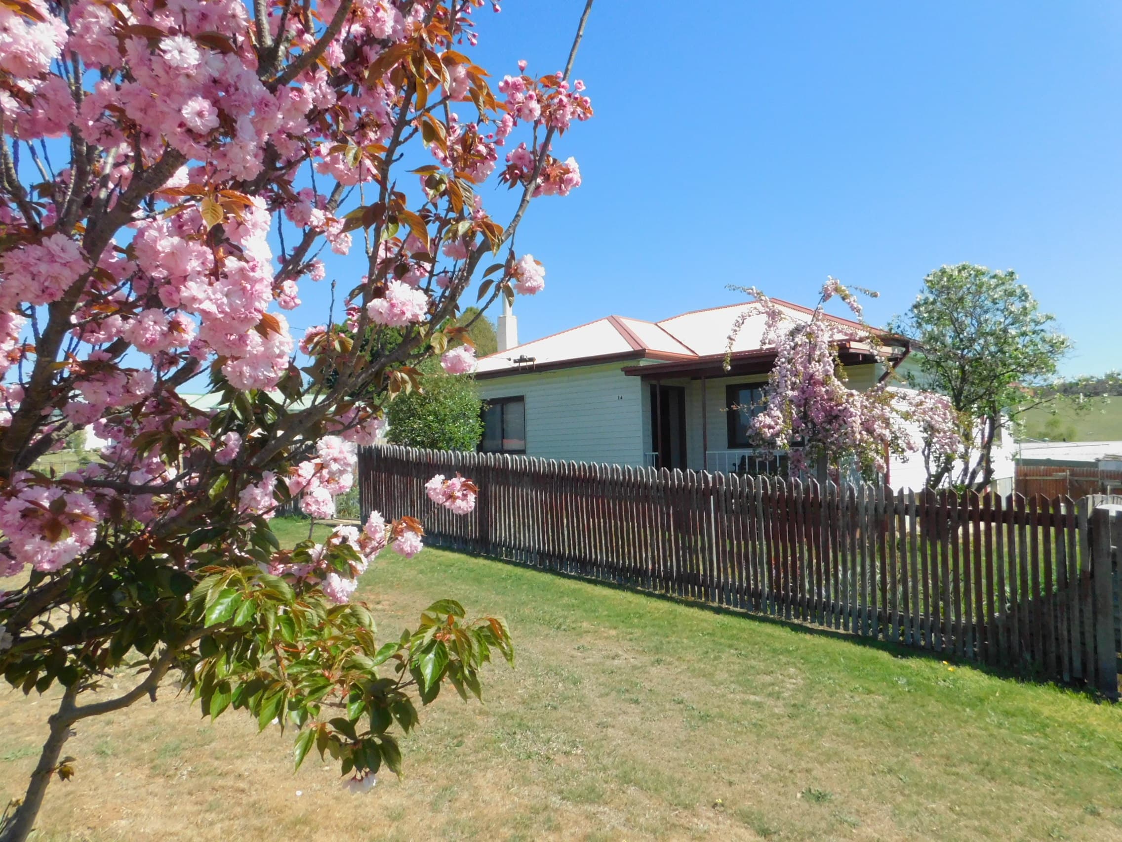 14 William Street, Delegate, Delegate - Image 1