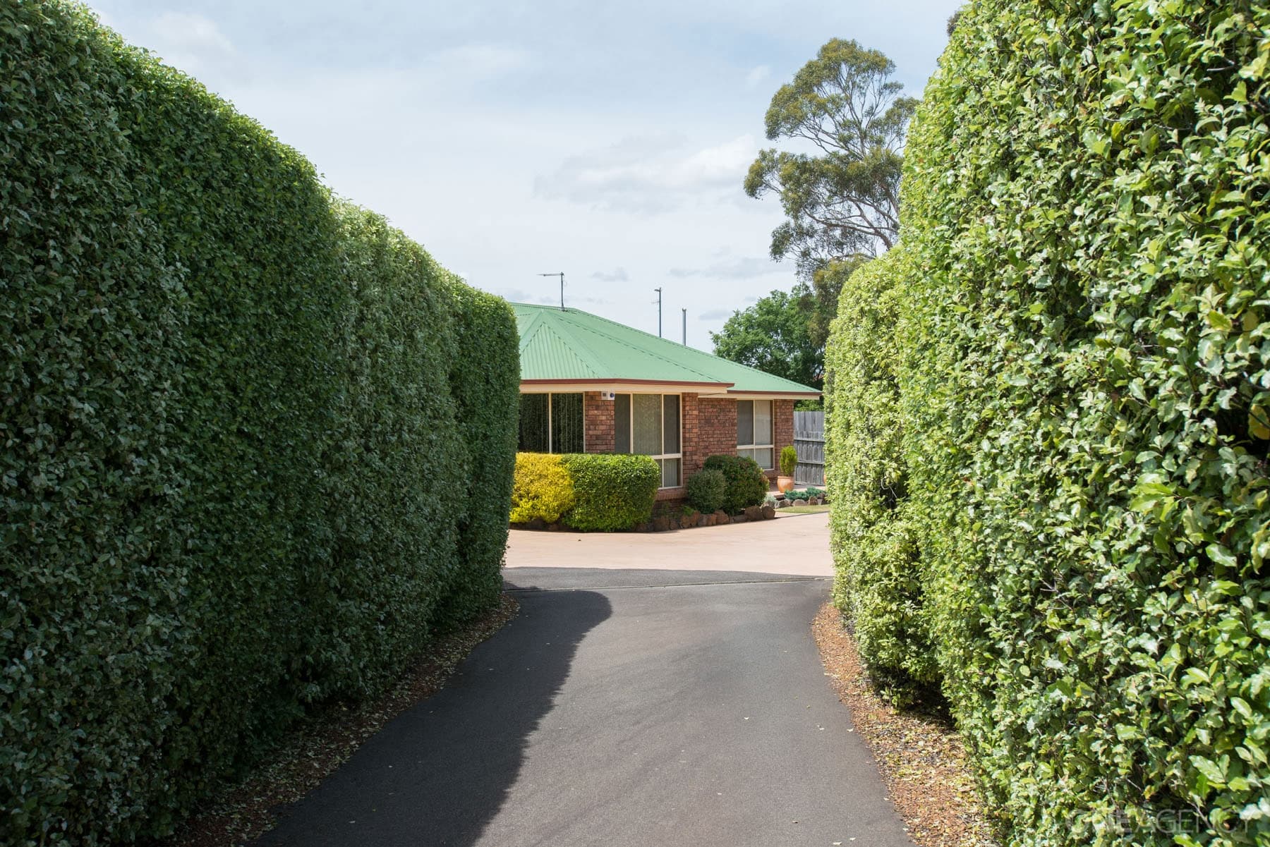 311 Peel Street West, Summerhill, Summerhill - Thumbnail 2