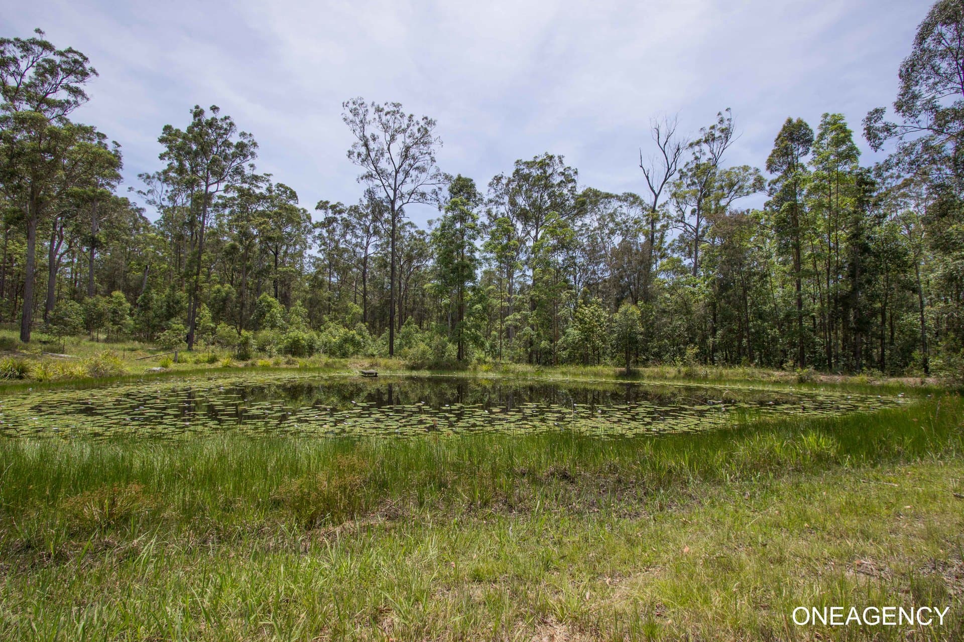 124 John Lane Road, Yarravel, Yarravel - Thumbnail 2