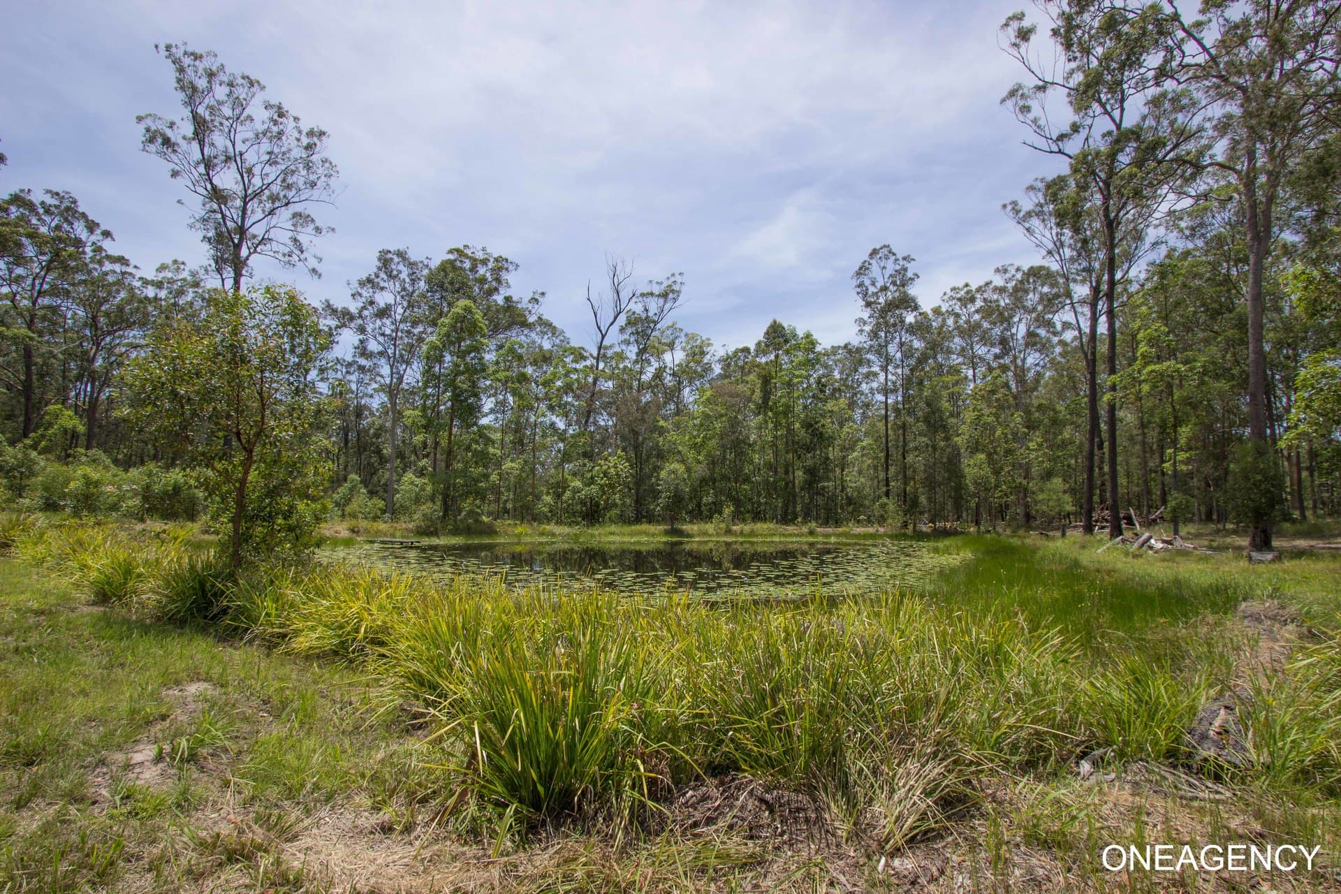 124 John Lane Road, Yarravel, Yarravel - Thumbnail 3