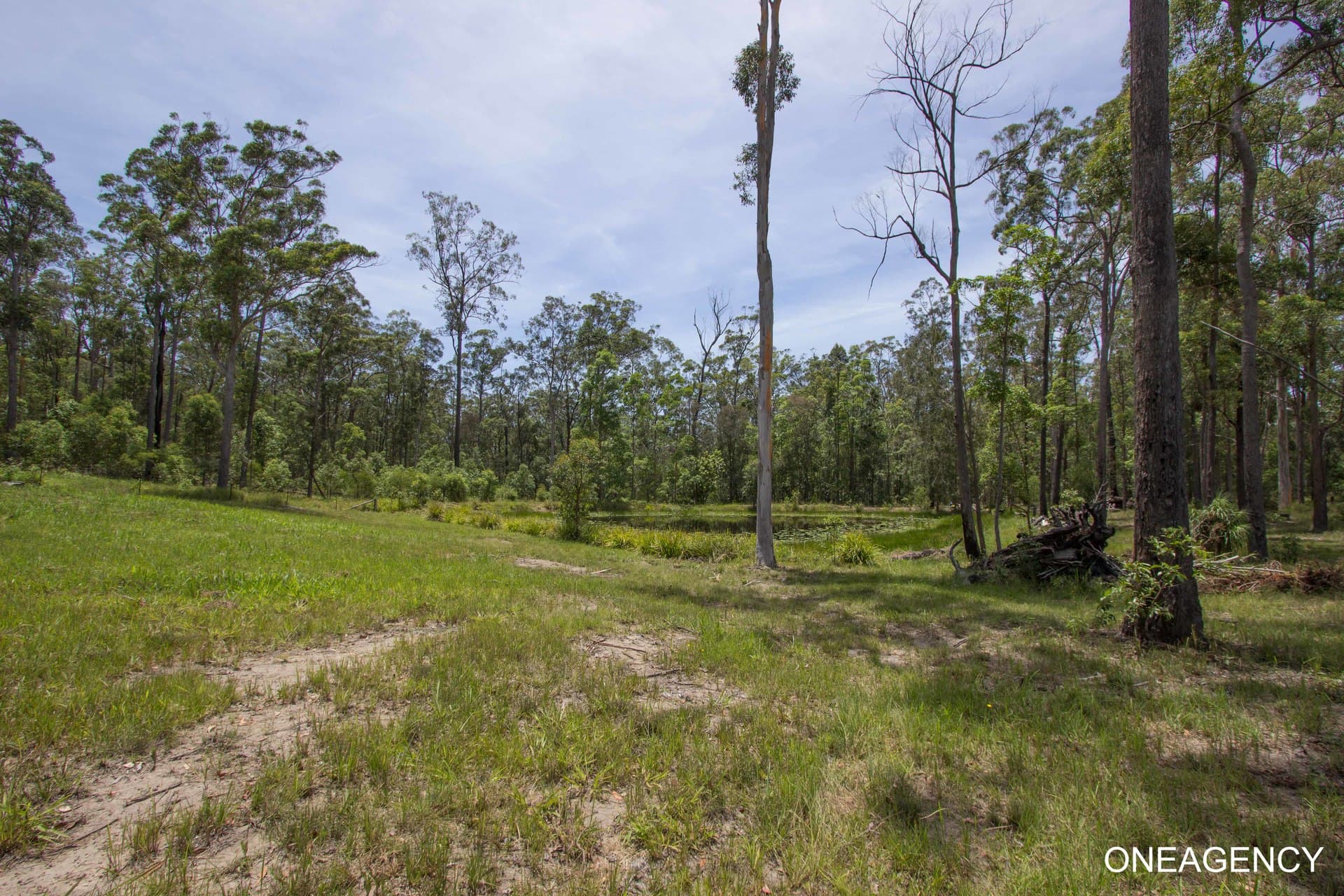 124 John Lane Road, Yarravel, Yarravel - Thumbnail 4