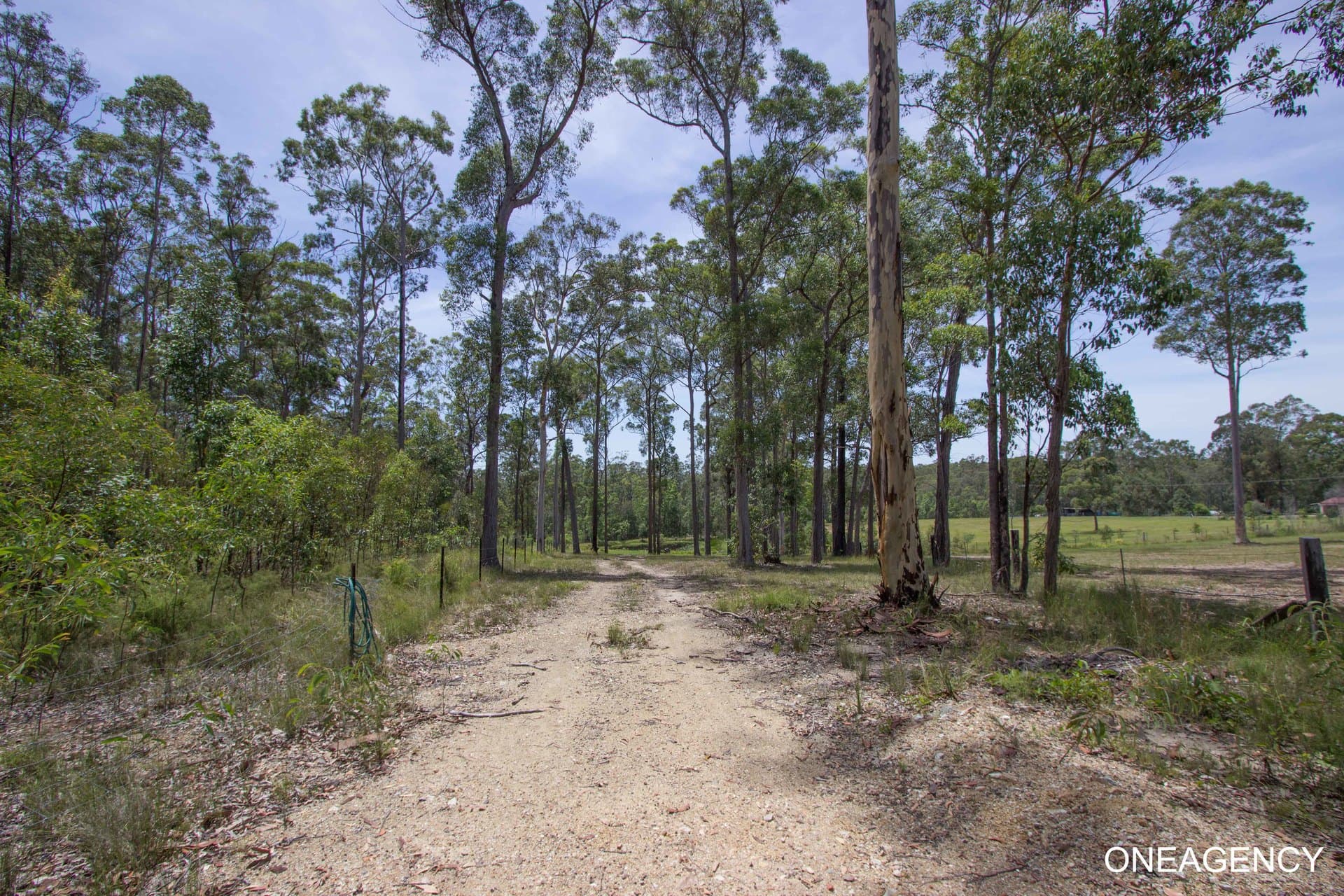 124 John Lane Road, Yarravel, Yarravel - Thumbnail 5