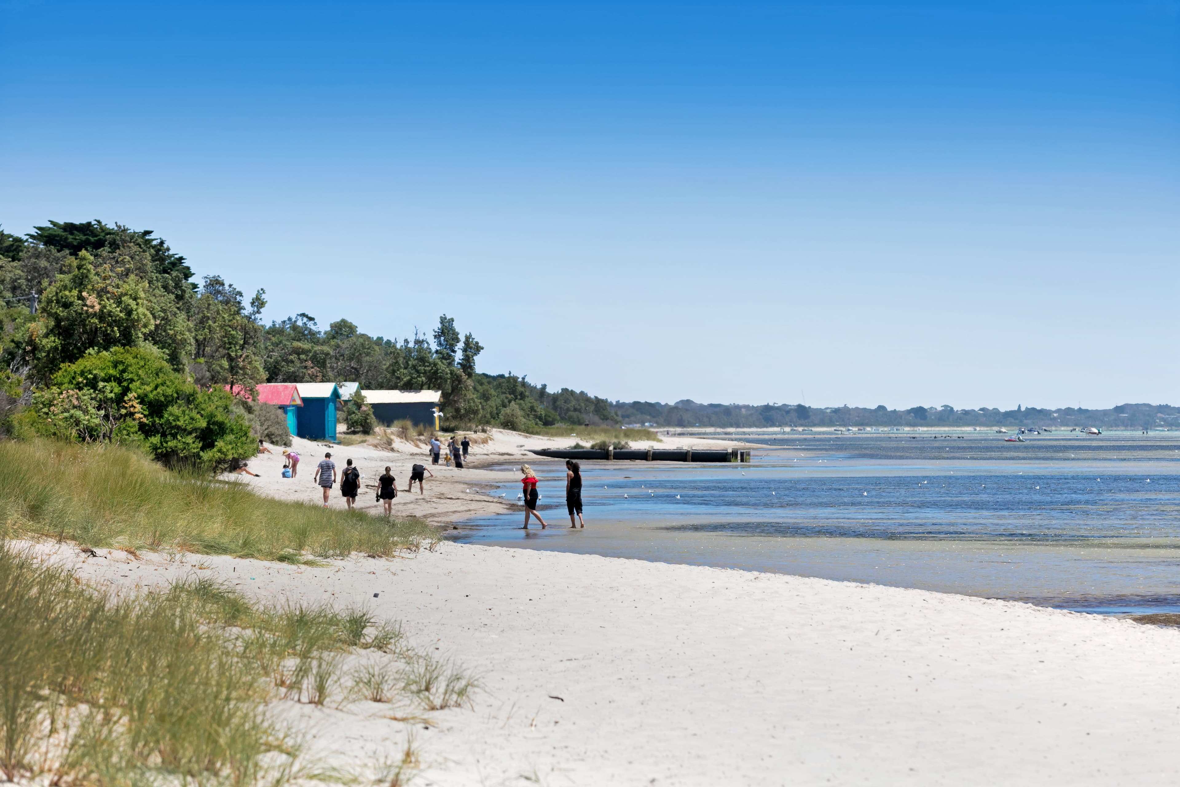 158 BEACHBOX, Rosebud, Rosebud - Thumbnail 5