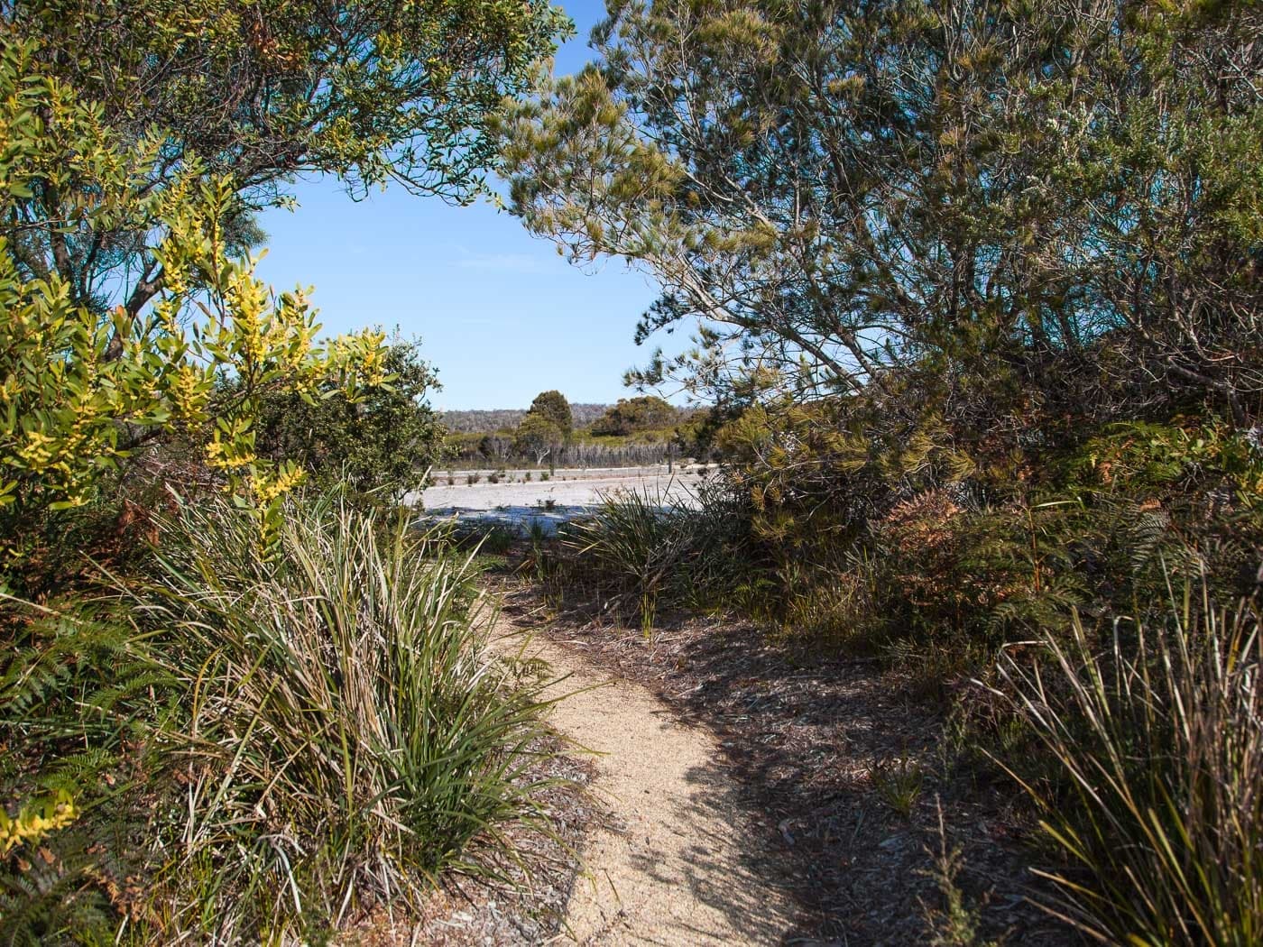 3/1 Vince Lane, Binalong Bay, Binalong Bay - Thumbnail 4