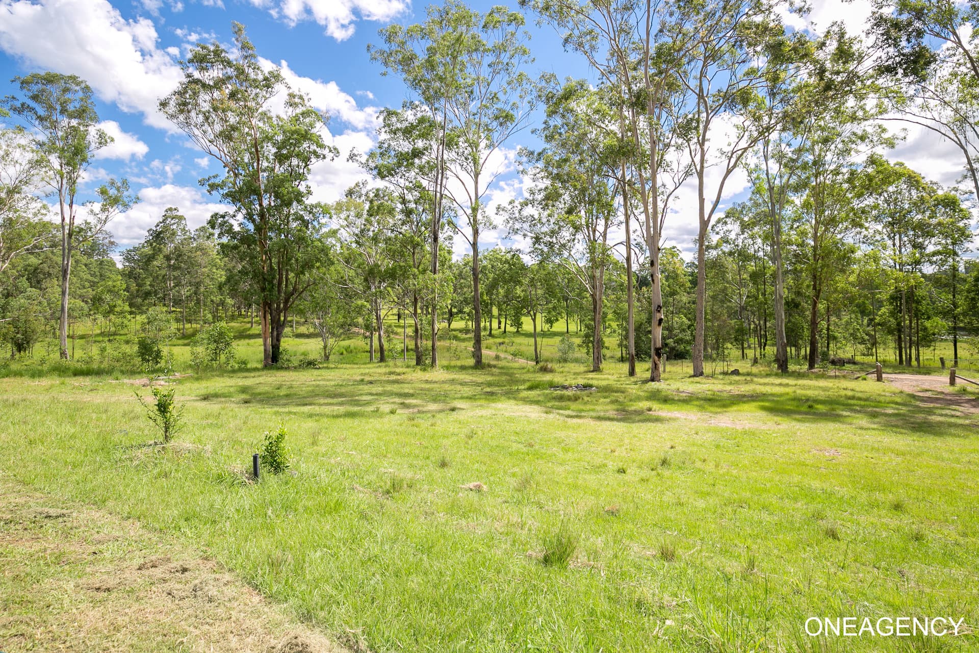 Lot 373 Mines Road, Mungay Creek, Mungay Creek - Thumbnail 2