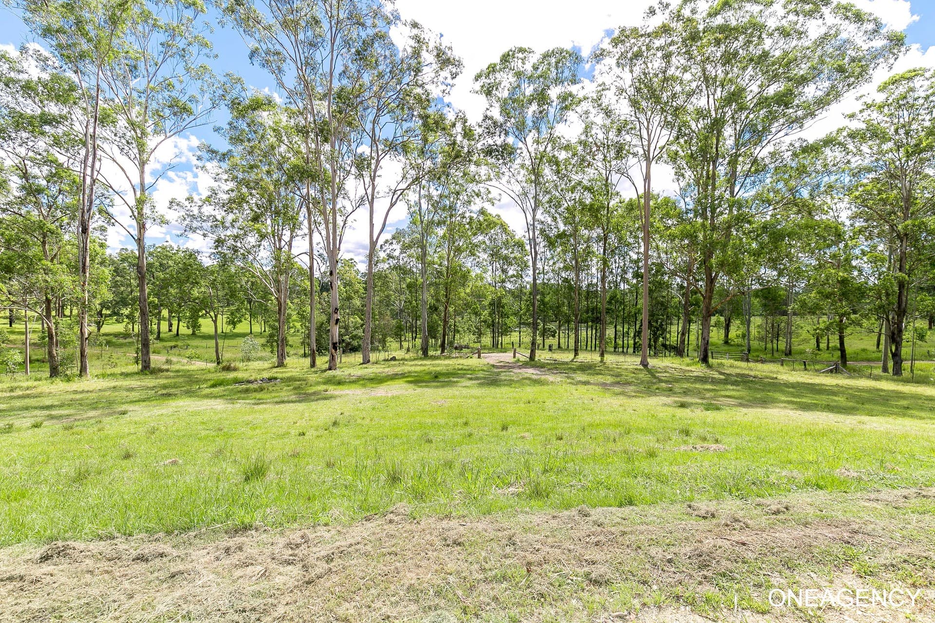 Lot 373 Mines Road, Mungay Creek, Mungay Creek - Thumbnail 3