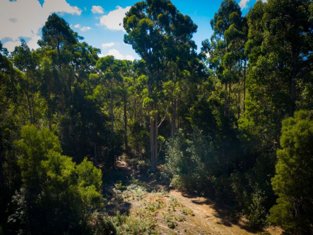 Lot 1 Nunns Road, Elliott, Elliott - Thumbnail 7