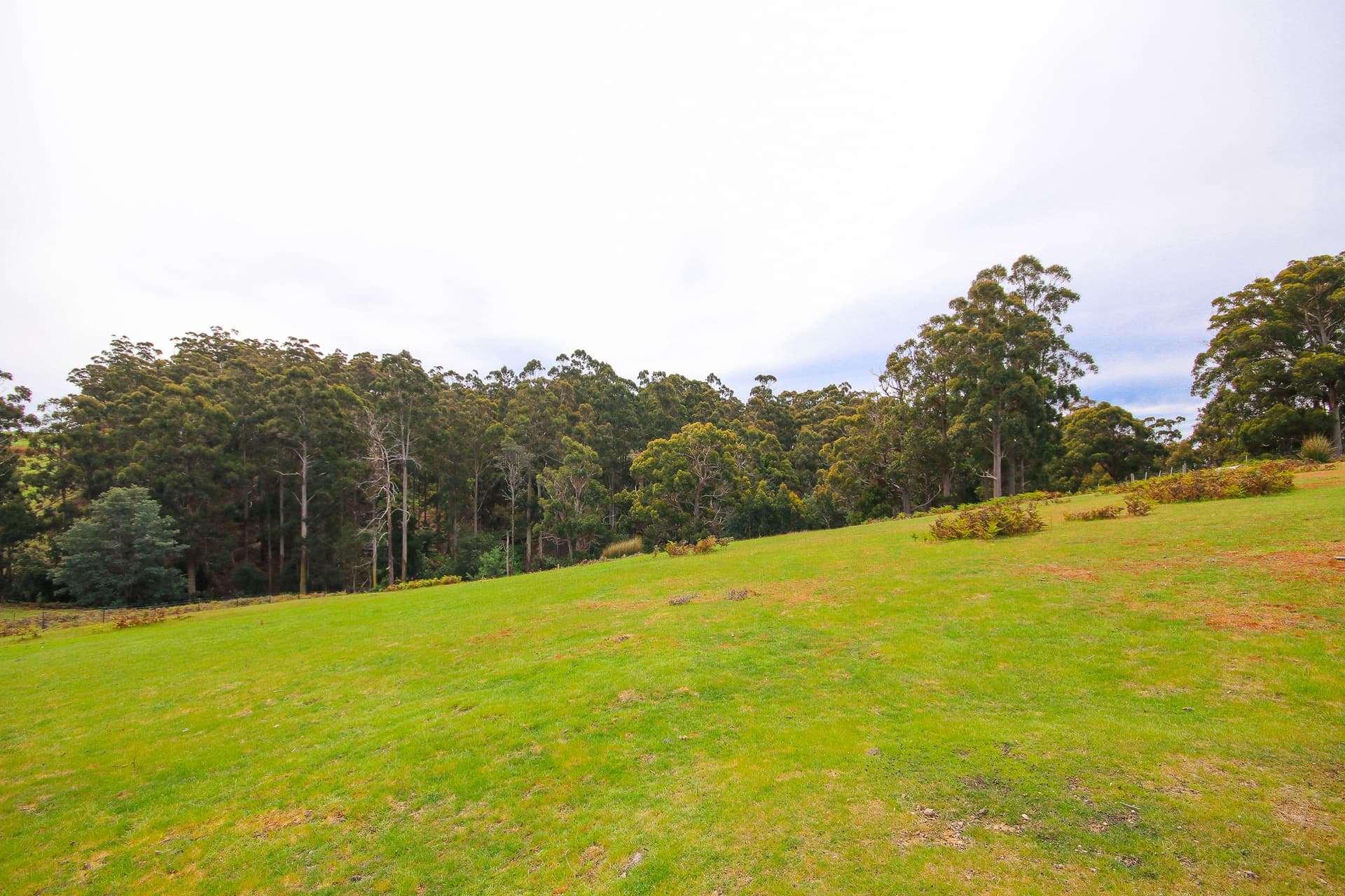 37 Roope Road, Lower Barrington, Lower Barrington - Thumbnail 5