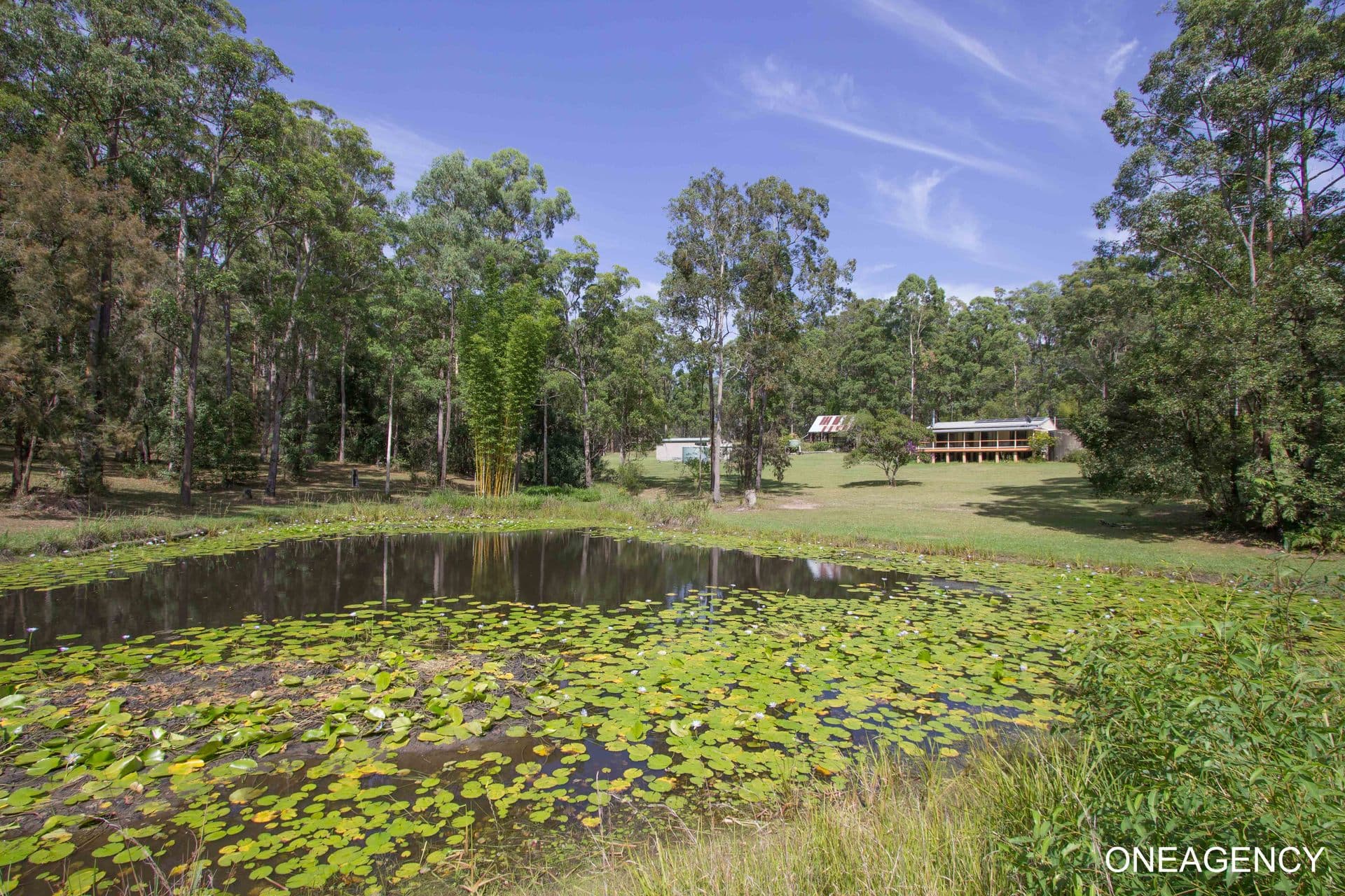 1051 Pipers Creek Road, Dondingalong, Dondingalong - Thumbnail 3