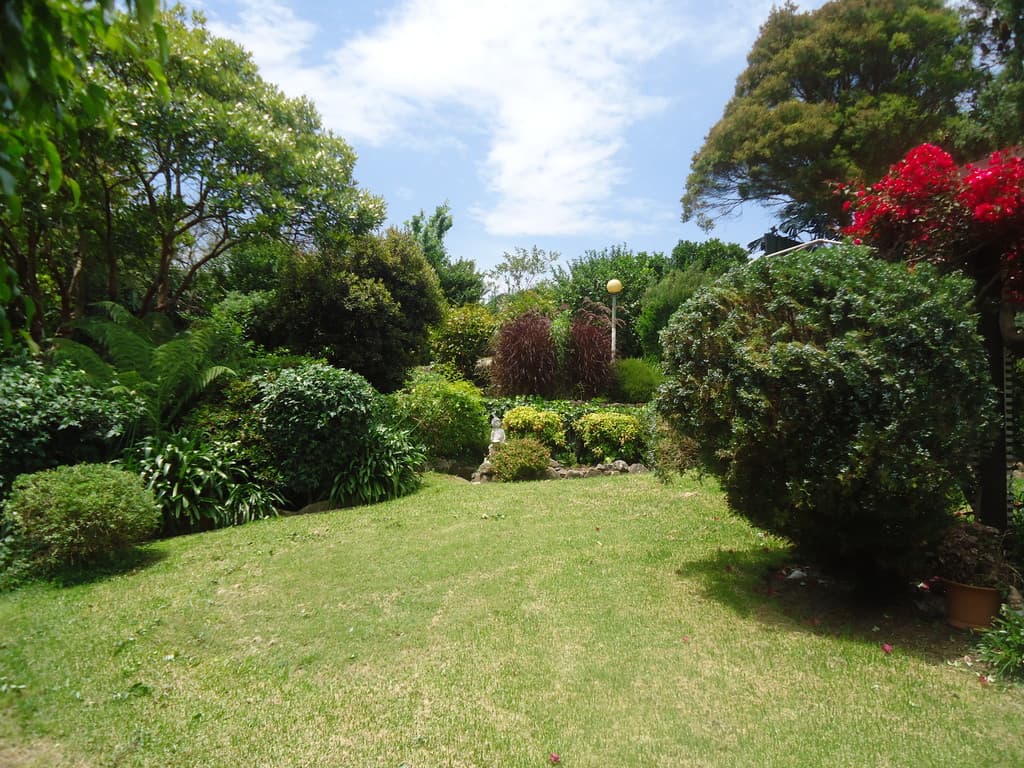 6 Denman Street, Hurstville, Hurstville - Thumbnail 2