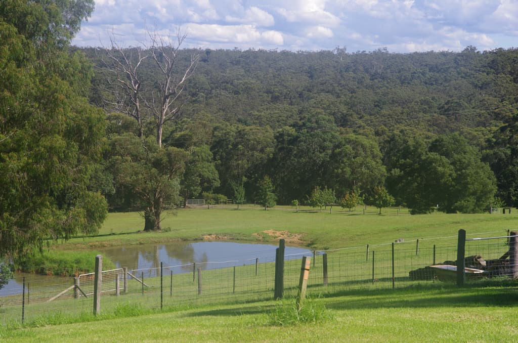 438 Duffy's Lane, Kangaroo Valley, Kangaroo Valley - Thumbnail 3