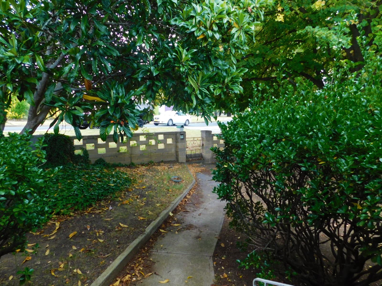 3 Crisp Street, Cooma, Cooma - Thumbnail 6