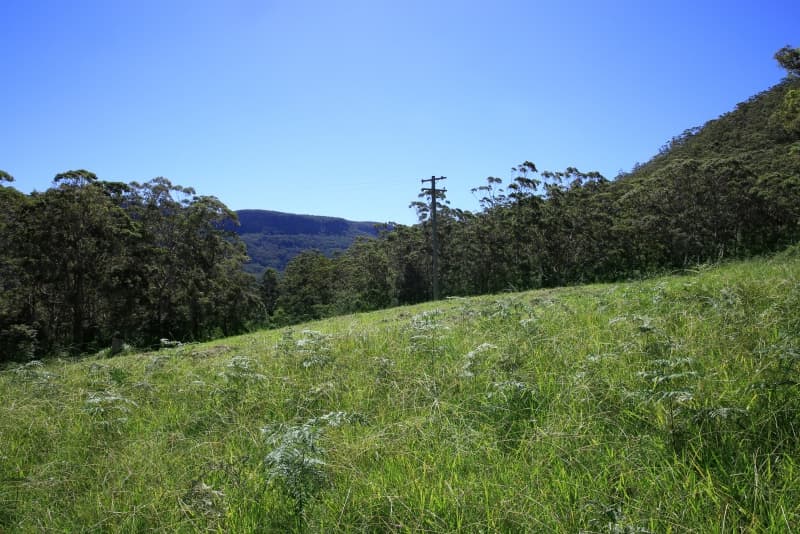 24 Treefern Road, Kangaroo Valley, Kangaroo Valley - Thumbnail 3