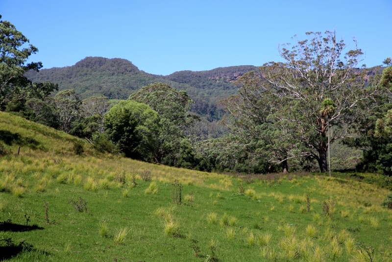 24 Treefern Road, Kangaroo Valley, Kangaroo Valley - Thumbnail 6
