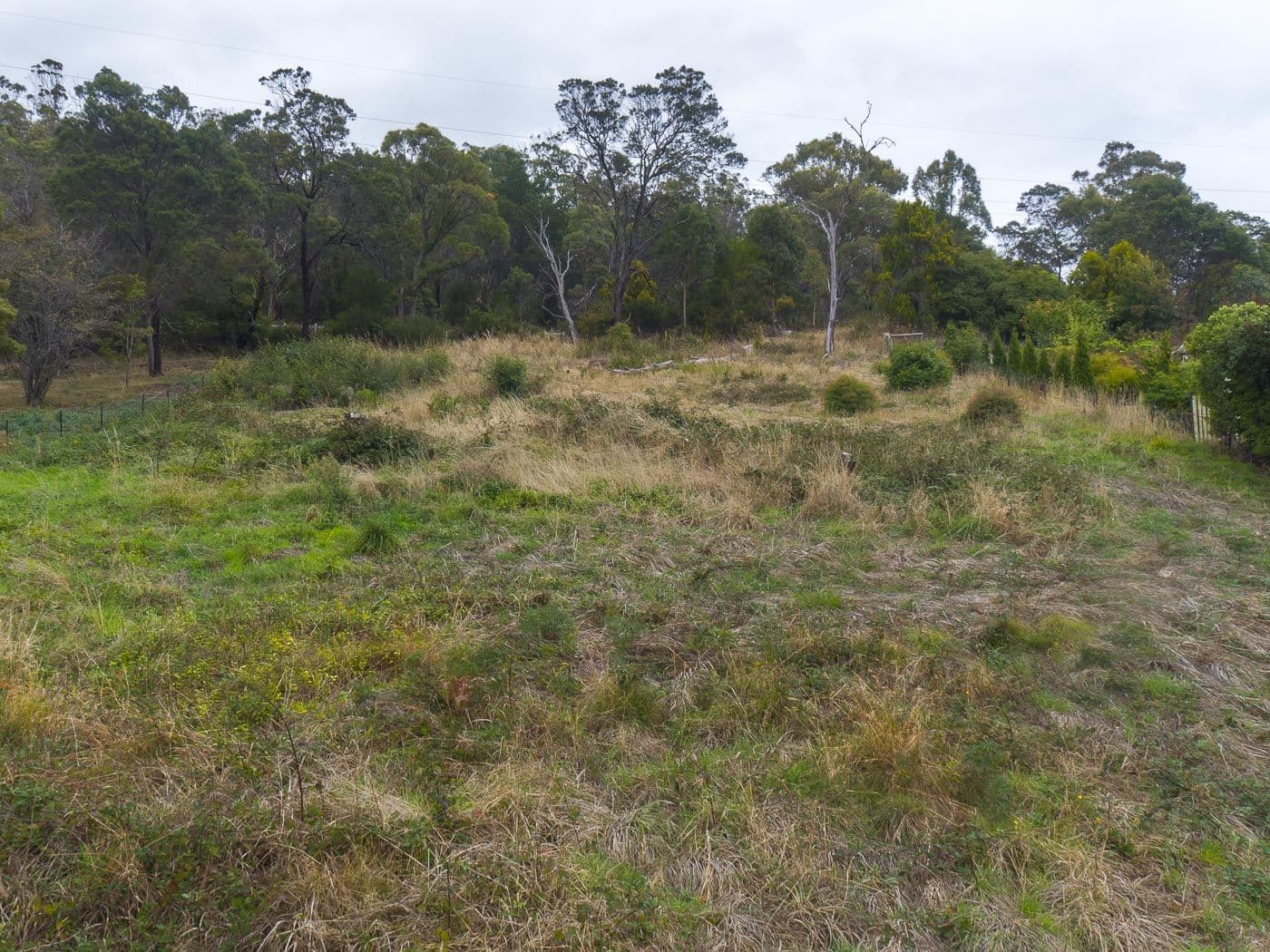407 Rosevears Drive, Lanena, Lanena - Thumbnail 7