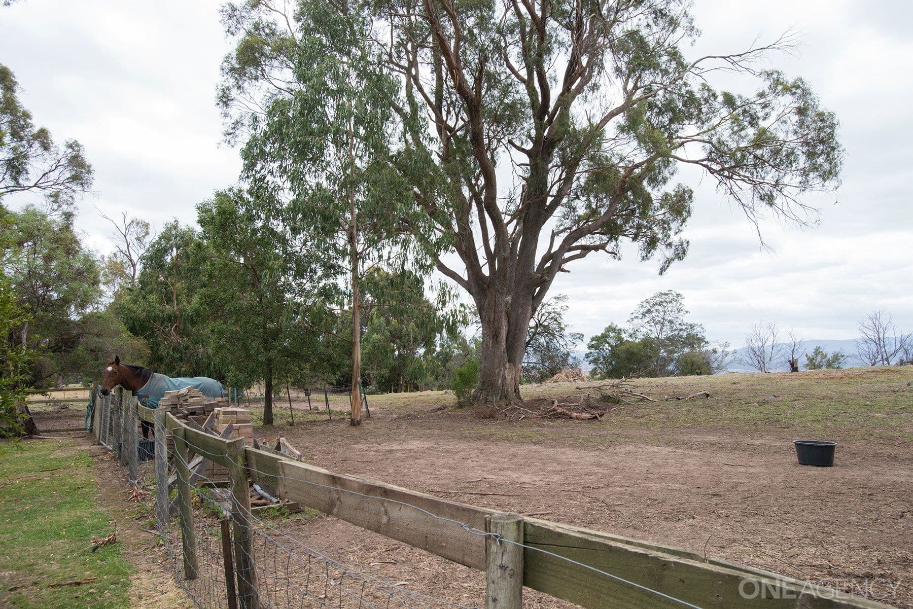 44 Devon Hills Road, Devon Hills, Devon Hills - Thumbnail 8