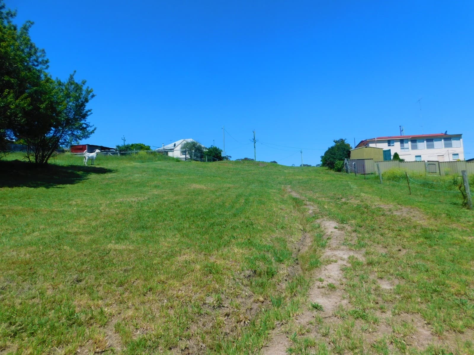 19 Maybe  Street, Bombala, Bombala - Thumbnail 6