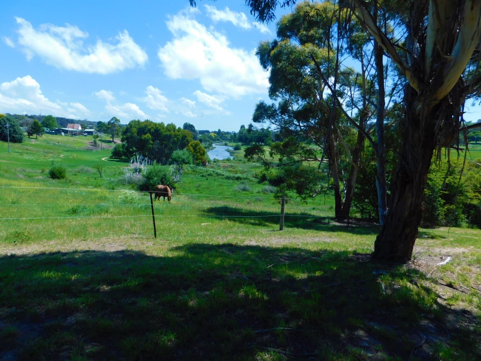 19 Maybe  Street, Bombala, Bombala - Thumbnail 8
