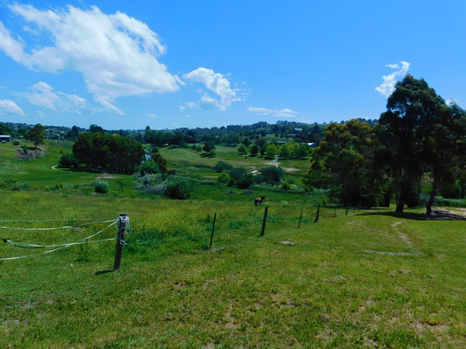 19 Maybe  Street, Bombala, Bombala - Thumbnail 5