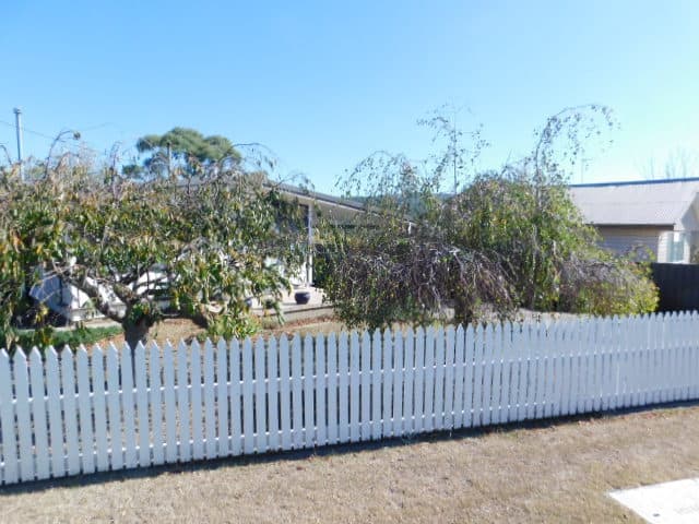 19 Chapman Street, Cooma, Cooma - Thumbnail 3