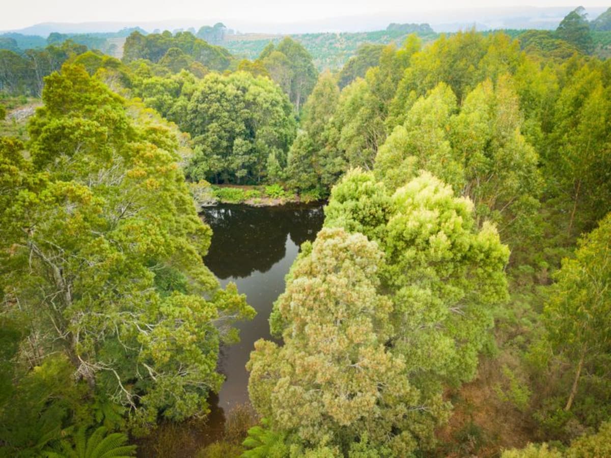 Lot 1 Sculthorpes Road, Meunna, Meunna - Thumbnail 6
