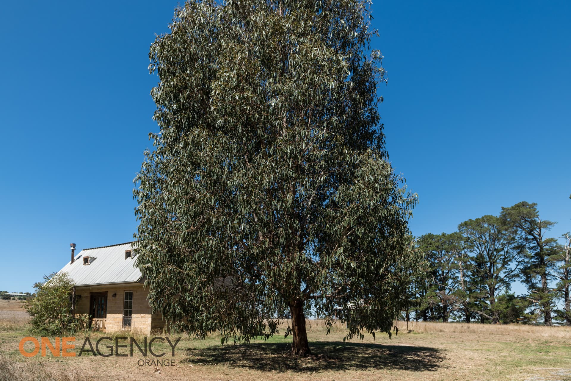 128 Calton Road, Orange, Orange - Thumbnail 5