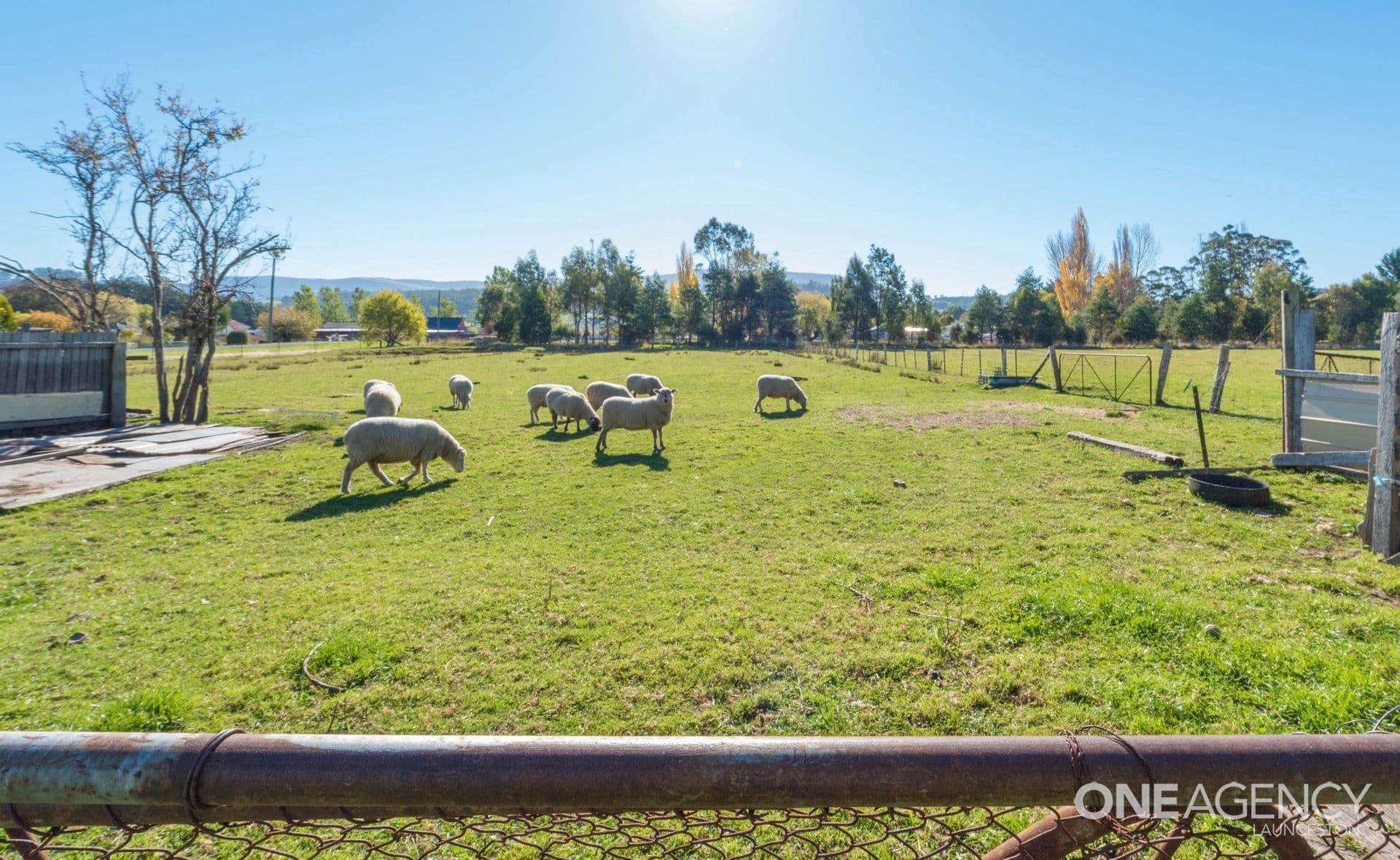 19 Burnett Street, Chudleigh, Chudleigh - Thumbnail 8