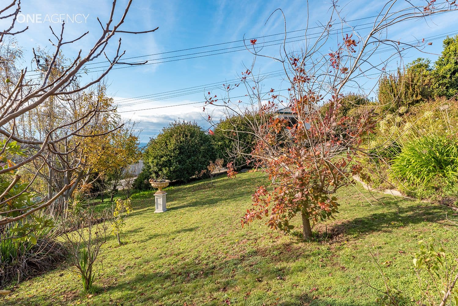 8 Tracey Street, Park Grove, Park Grove - Thumbnail 4