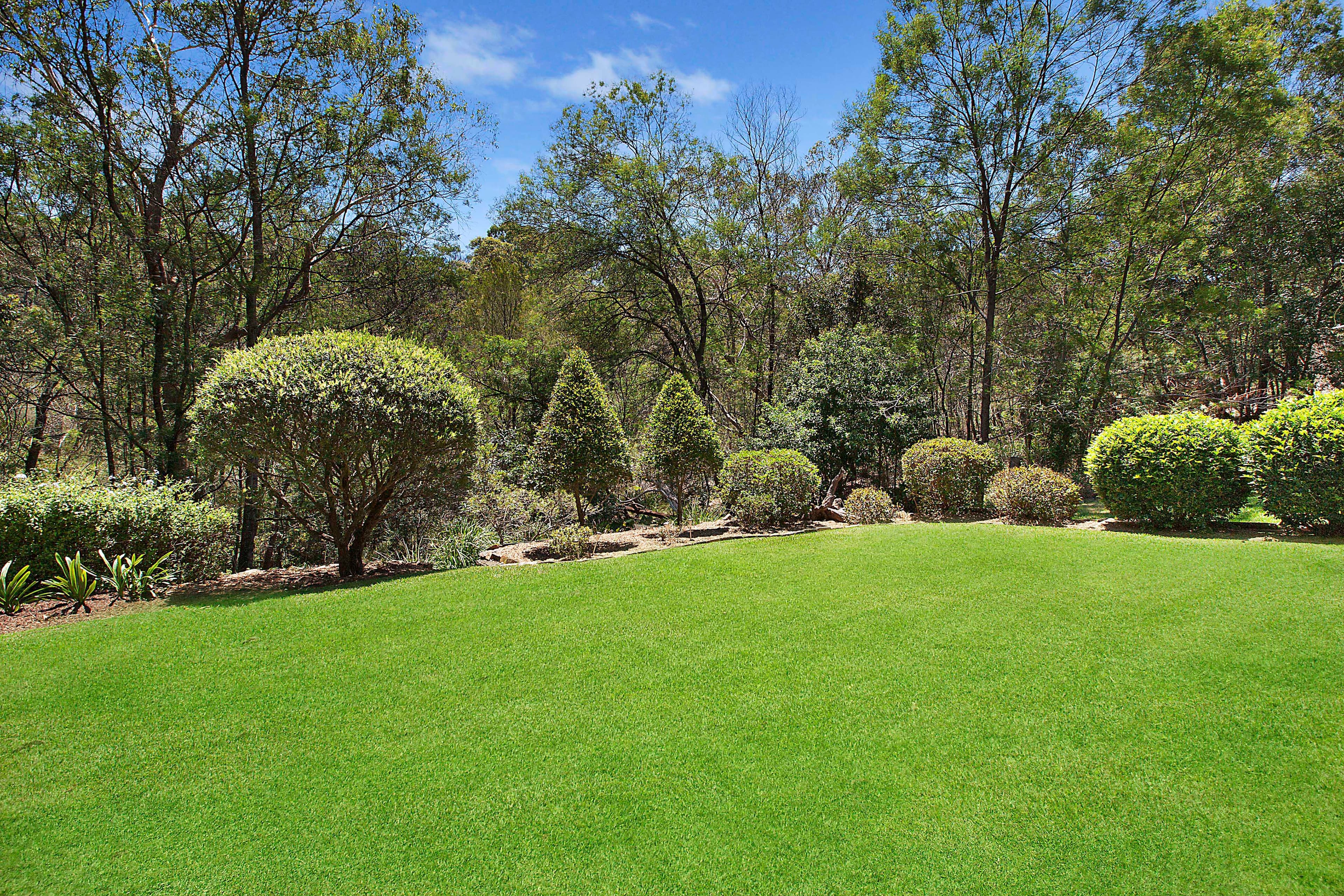 51 Lady Davidson Circuit, Forestville, Forestville - Thumbnail 2