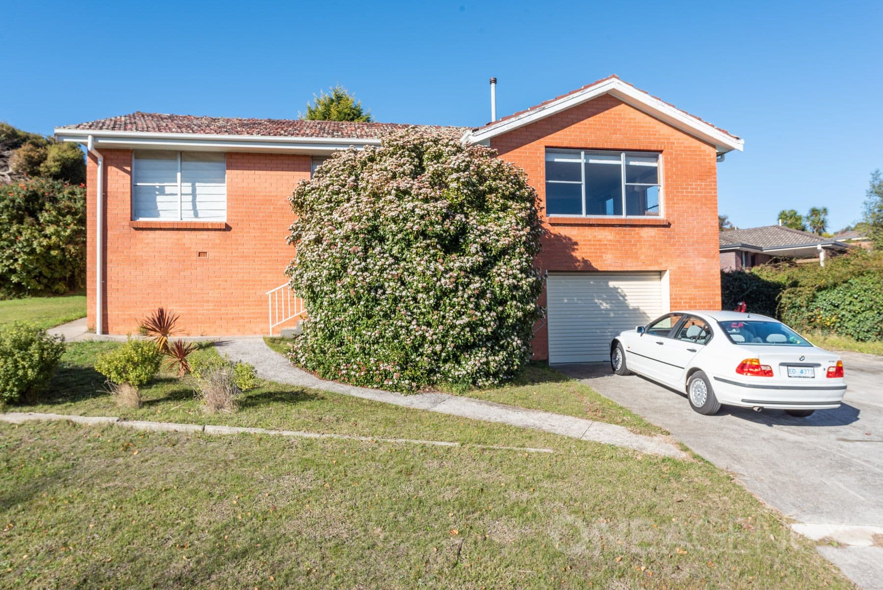 1 Ellison Street, Newstead, Newstead - Image 1