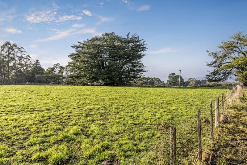114 Fernleigh Road, Caveside, Caveside - Thumbnail 5