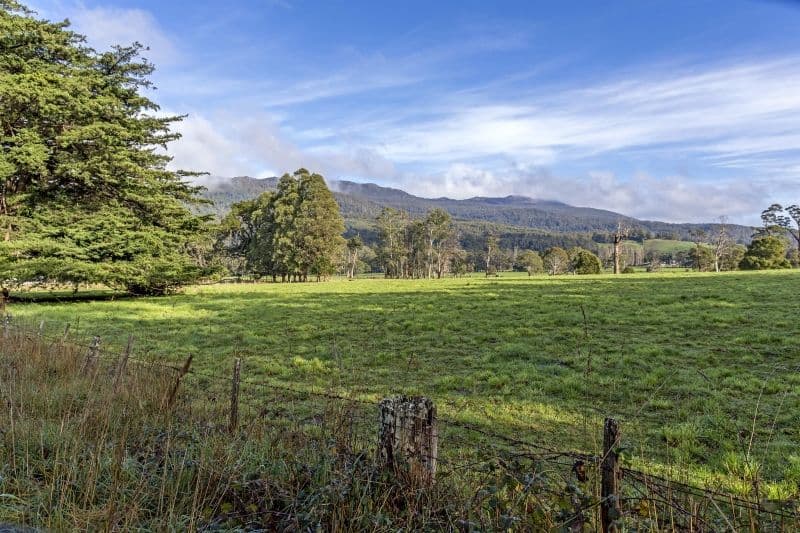 114 Fernleigh Road, Caveside, Caveside - Thumbnail 7