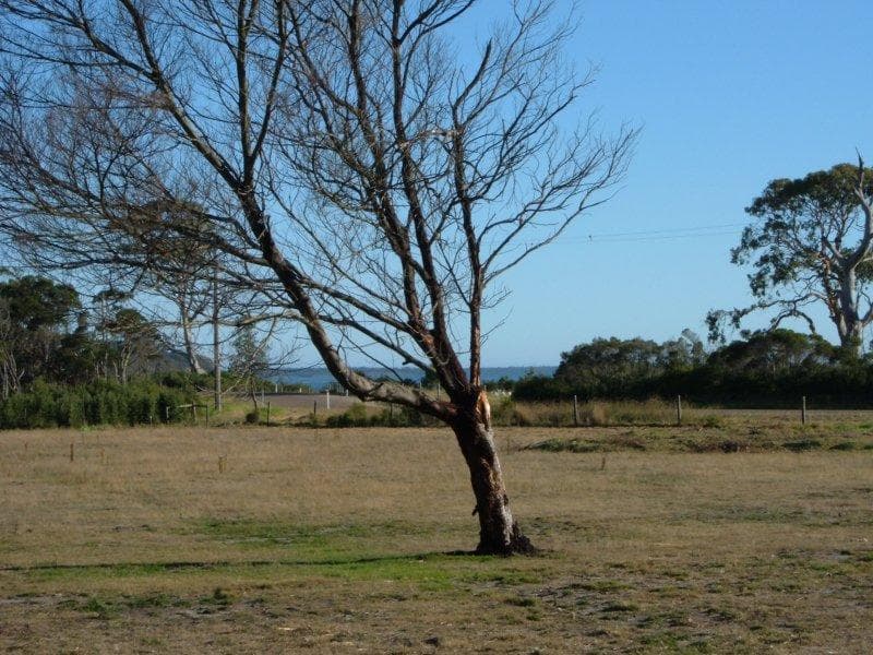 315 Reynolds Road, Metung, Metung - Thumbnail 7