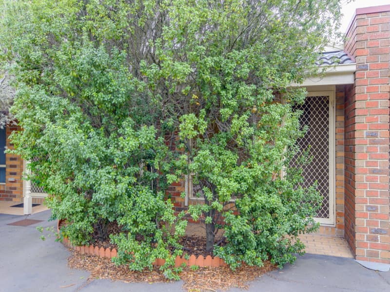 4/33 Northcliffe Road, Edithvale, Edithvale - Image 1