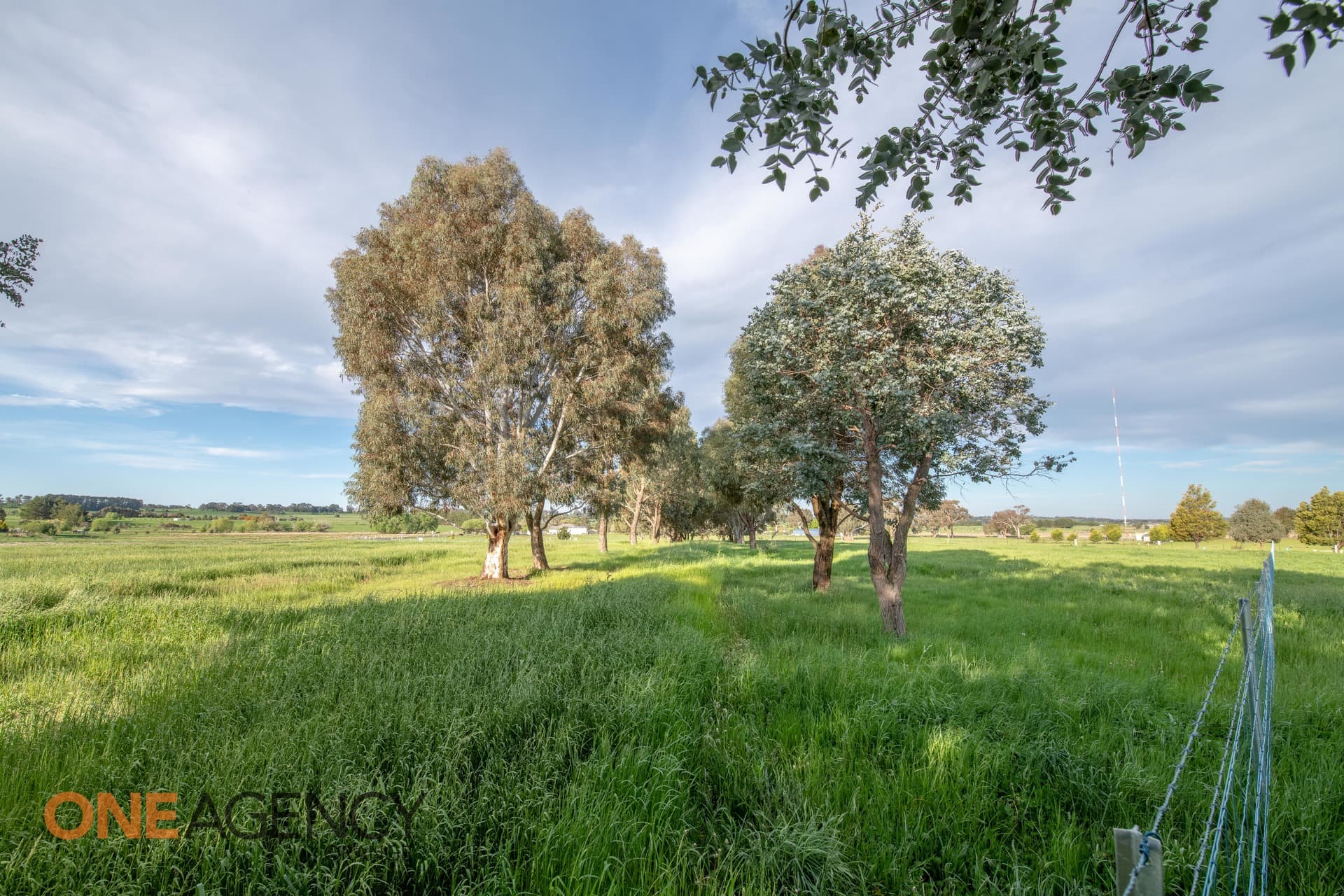 665 Forest Reefs Road, Orange, Orange - Thumbnail 6