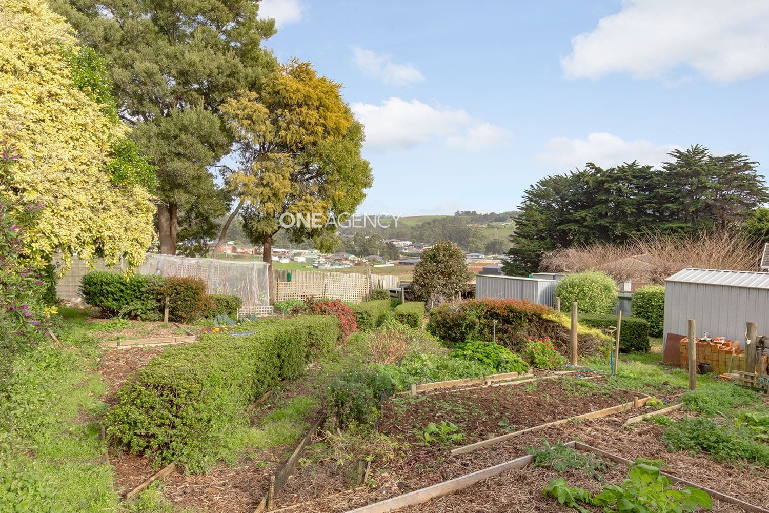 15 Mills Road, Park Grove, Park Grove - Thumbnail 4